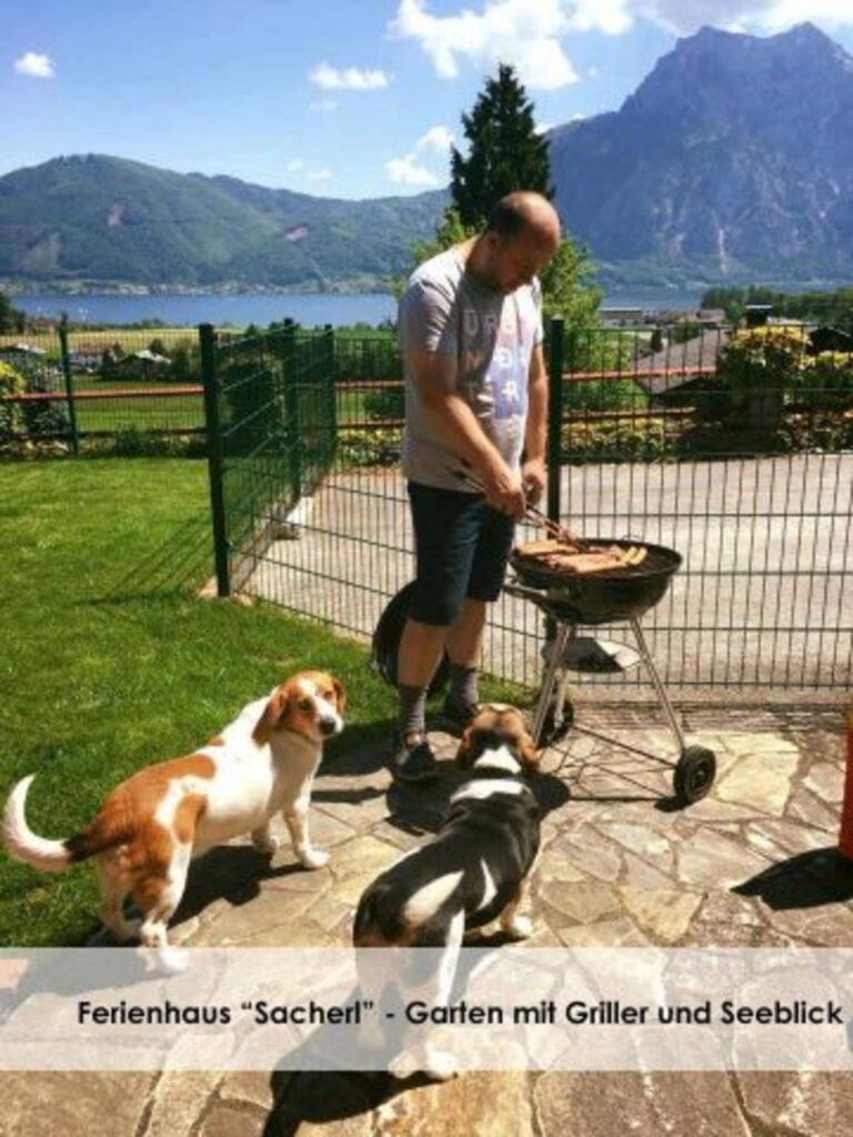 Ferienhaus Im Sacherl Traunsee alleinige Nutzung Seeblick – Foto 5