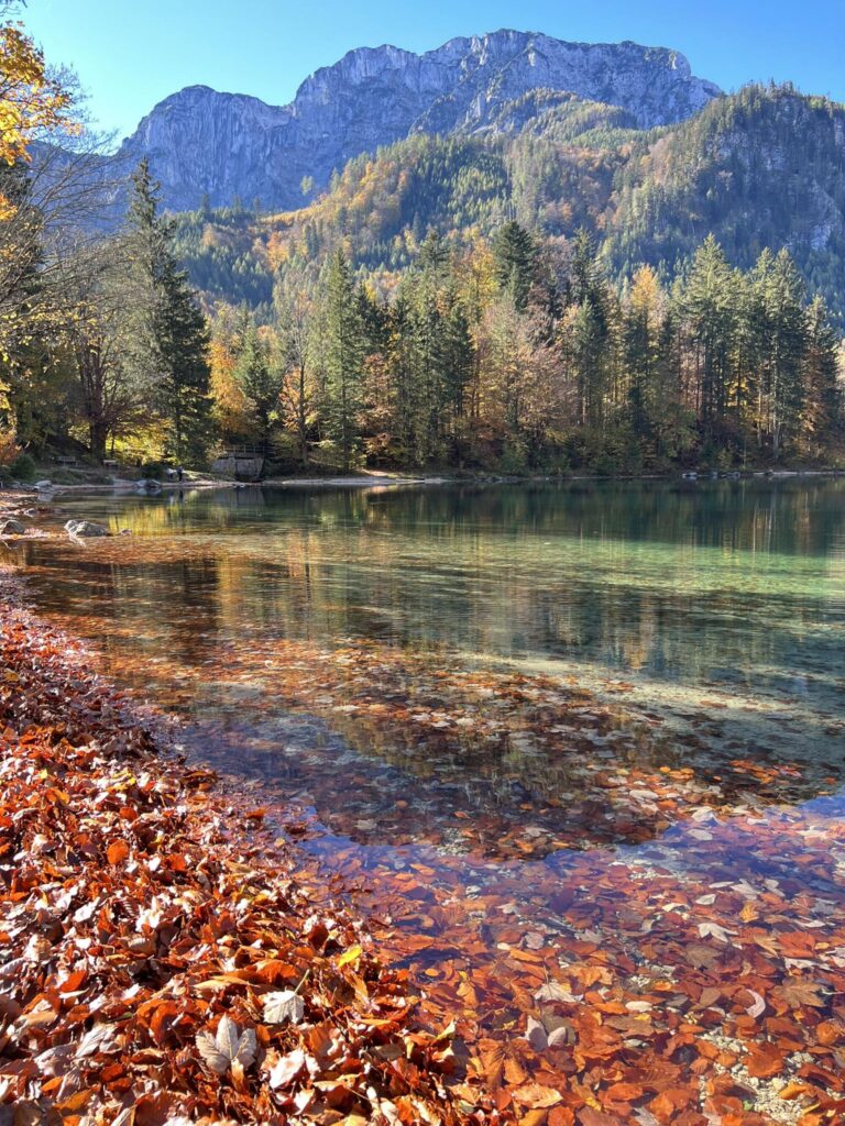 Ferienhaus Im Sacherl Traunsee alleinige Nutzung Seeblick – Foto 30