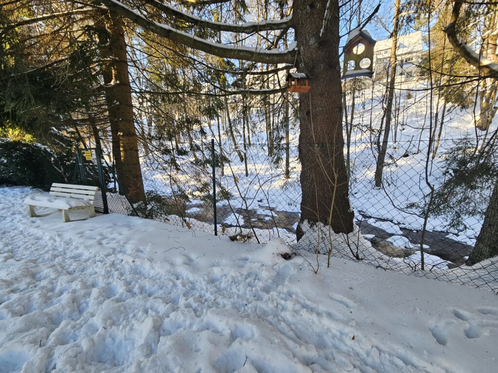Ferienhaus Villa Familienglück in Altenau im Harz – Foto 32