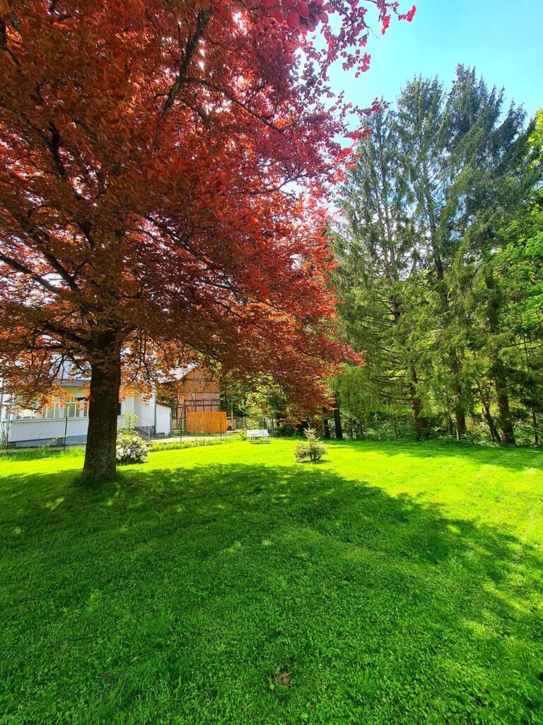 Ferienhaus Villa Familienglück in Altenau im Harz – Foto 2