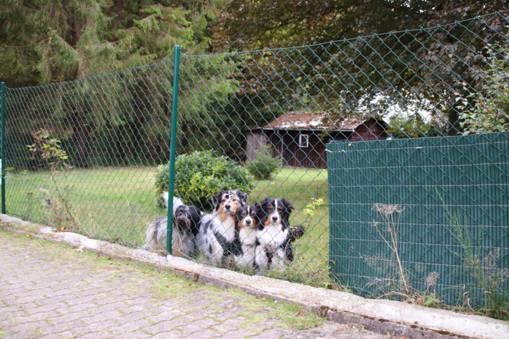 Ferienhaus Villa Familienglück in Altenau im Harz – Foto 11