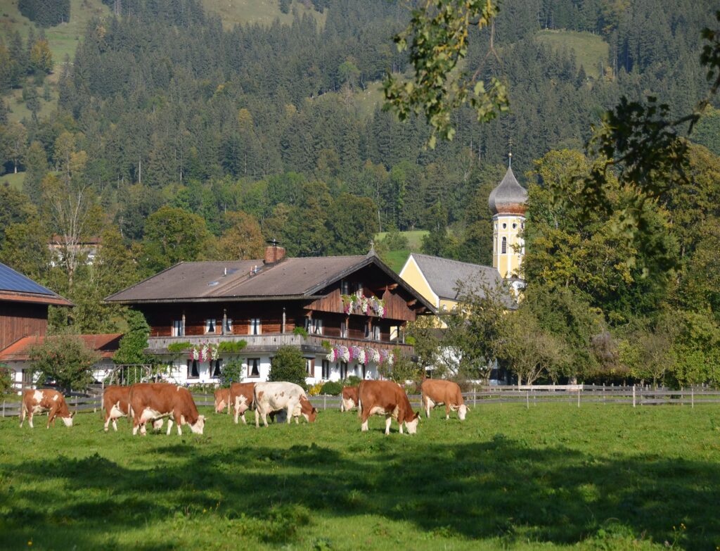Ferienhaus Angela in Fischbachau – Foto 16
