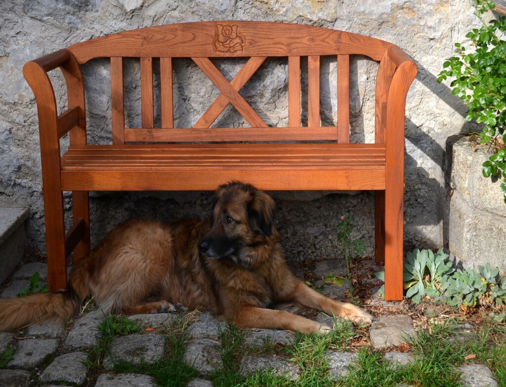 Ferienhaus Angela in Fischbachau – Foto 14