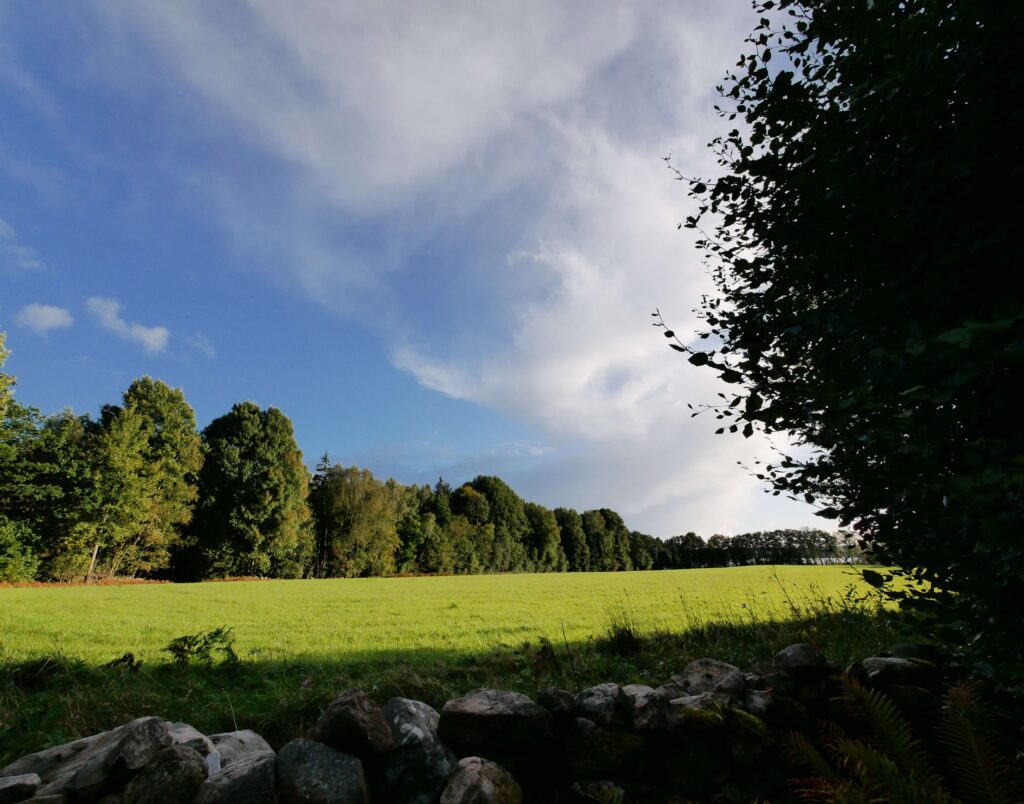 Wohlfühlhaus Hubi am See Unnen mit eingezäuntem Grundstück – Foto 22