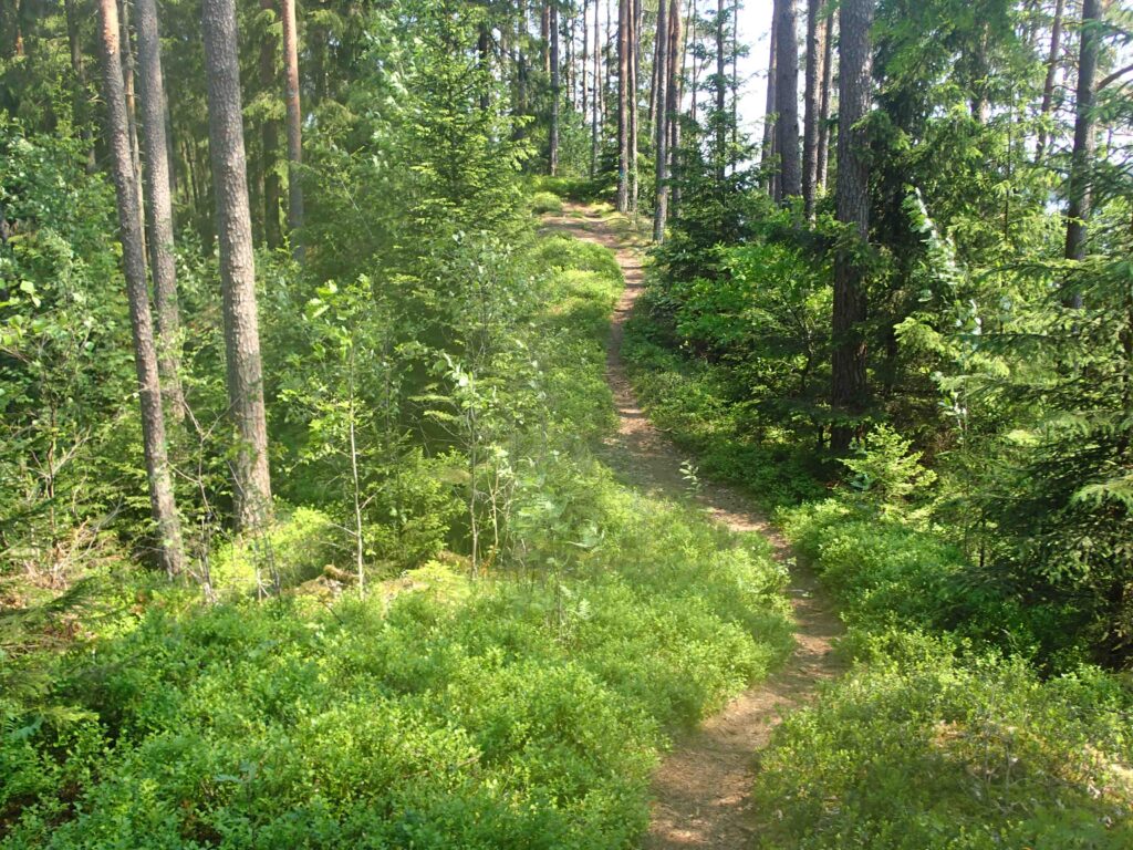 Wohlfühlhaus Hubi am See Unnen mit eingezäuntem Grundstück – Foto 26