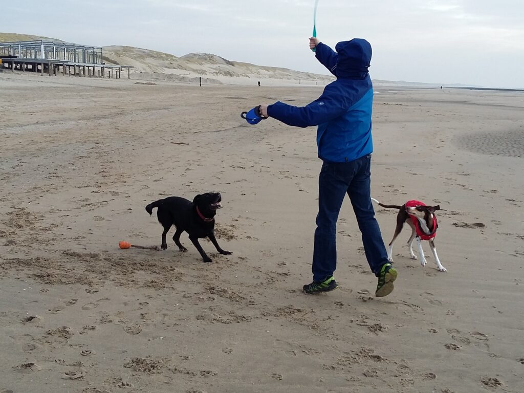 Ferienhaus Typ Strandperle in Julianadorp mit Dünenblick – Foto 18