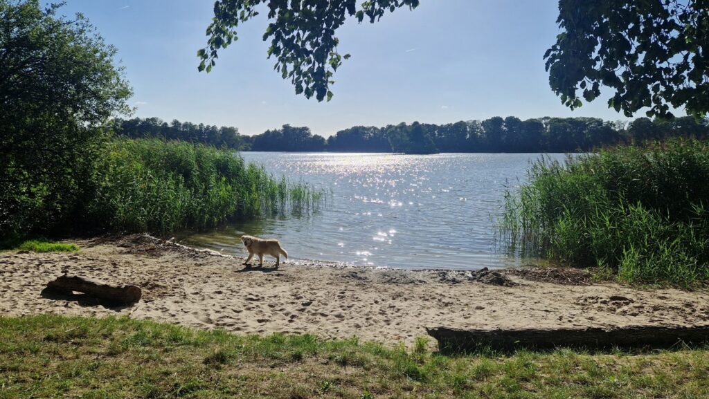 Ferienhaus im Biosphärenreservat Schaalsee in Zarrentin-Neuhof – Foto 30