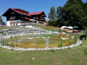 Zaun/Einfriedung