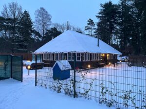 Zaun/Einfriedung