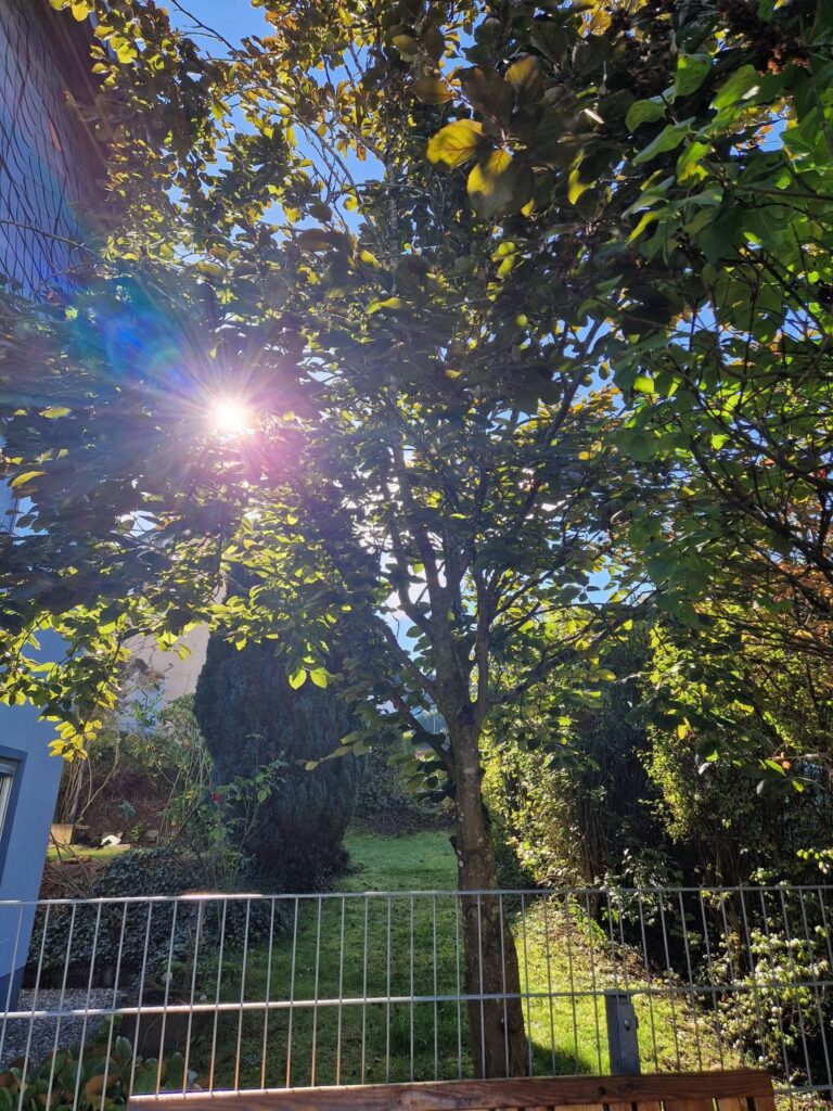 Fewo-Zum-Findling – Foto 22