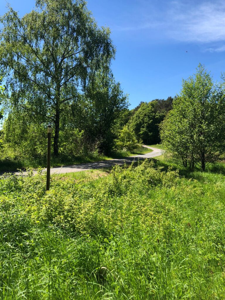 Fewo-Zum-Findling – Foto 24