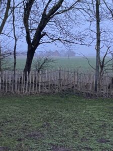 Zaun/Einfriedung