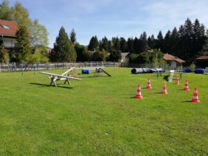 Zaun/Einfriedung