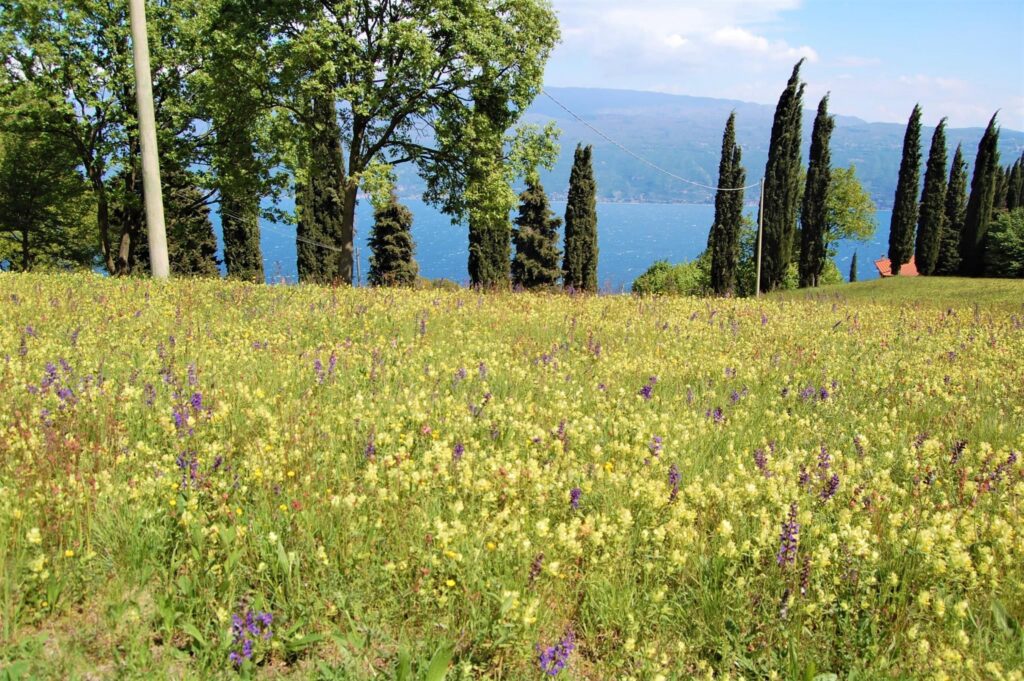 Ferienhaus Castagneto am Gardasee – Foto 15
