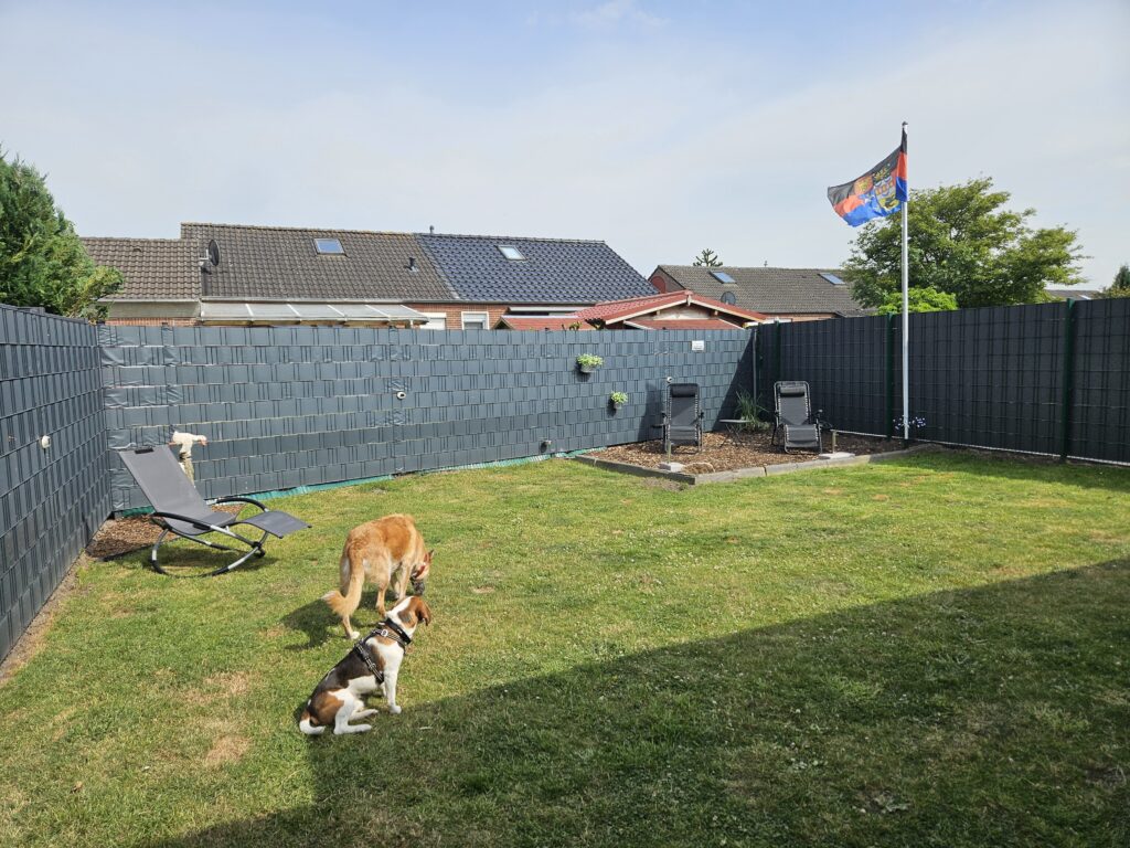 Lütte Uttiet – Nordseeglück für 3 Hunde – Foto 13
