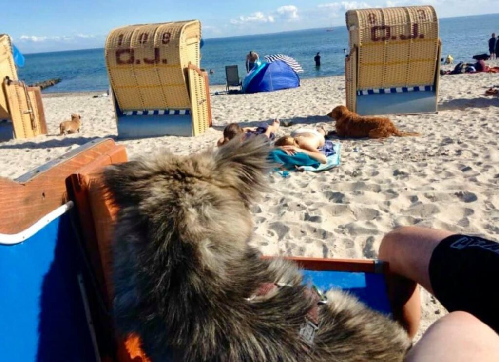 Ferienhaus Fritz Grömitz Ostsee Strandkorb Hundestrand – Foto 24