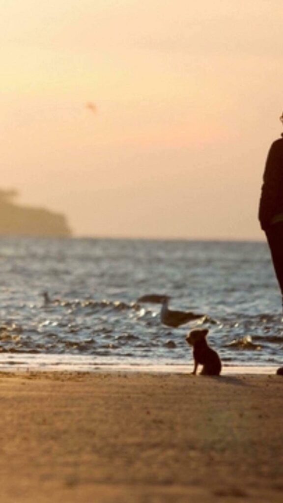 Ferienhaus Fritz Grömitz Ostsee Strandkorb Hundestrand – Foto 19