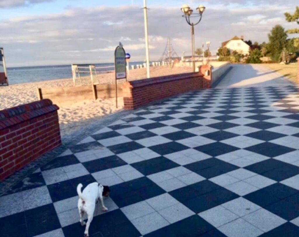 Ferienhaus Fritz Grömitz Ostsee Strandkorb Hundestrand – Foto 20