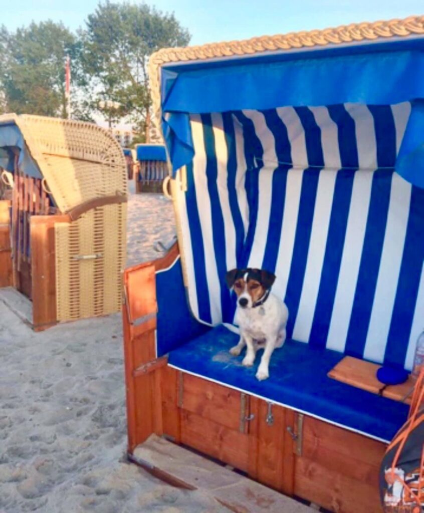 Ferienhaus Fritz Grömitz Ostsee Strandkorb Hundestrand – Foto 21