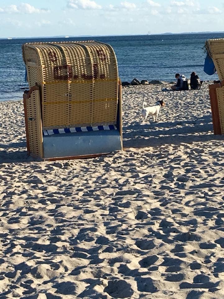 Ferienhaus Fritz Grömitz Ostsee Strandkorb Hundestrand – Foto 22