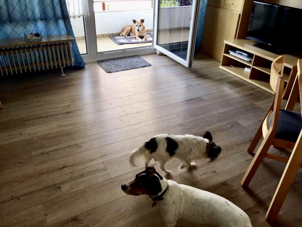 Ferienwohnung Jimmy Grömitz Ostsee Strandkorb Hundestrand – Foto 9