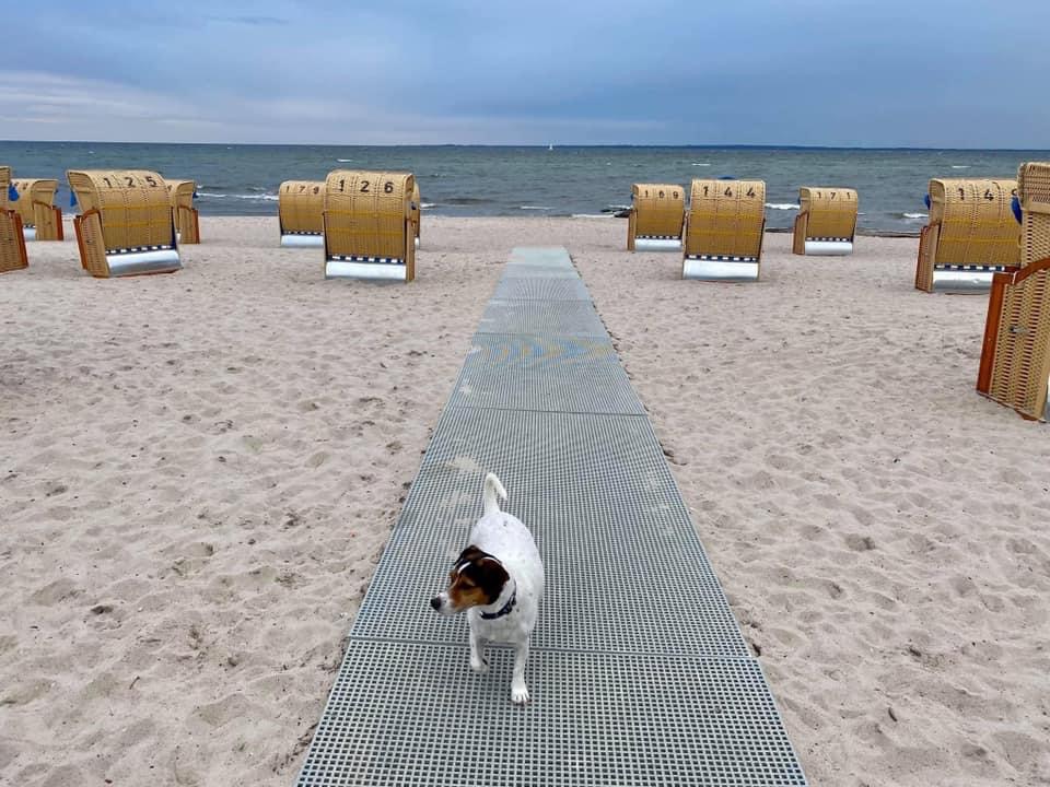 Ferienwohnung Salmi Grömitz Ostsee Strandkorb Hundestrand – Foto 31