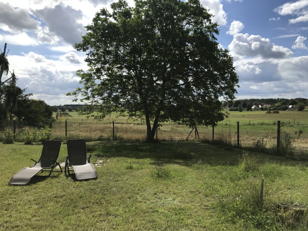 Große Ferienwohnung im Haus Roggentin – Foto 37