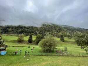Zaun/Einfriedung