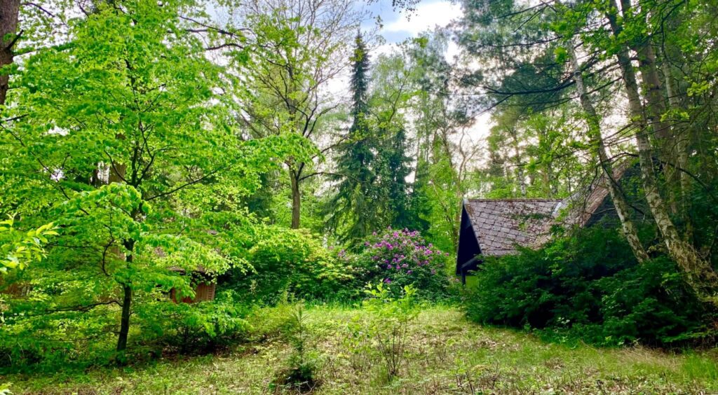 Waldhäusle mit eingezäuntem Waldgrundstück Lüneburger Heide – Foto 36