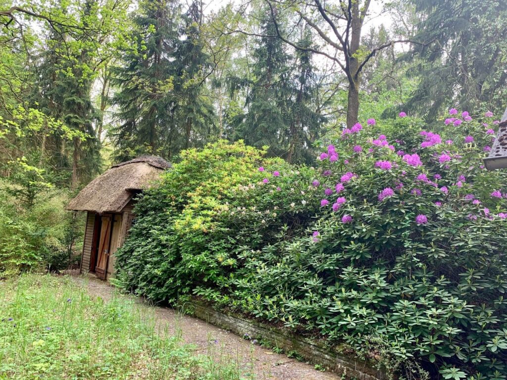 Waldhäusle mit eingezäuntem Waldgrundstück Lüneburger Heide – Foto 37