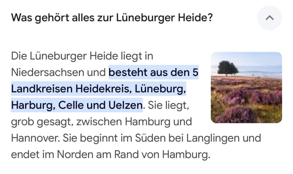 Waldhäusle mit eingezäuntem Waldgrundstück Lüneburger Heide – Foto 47