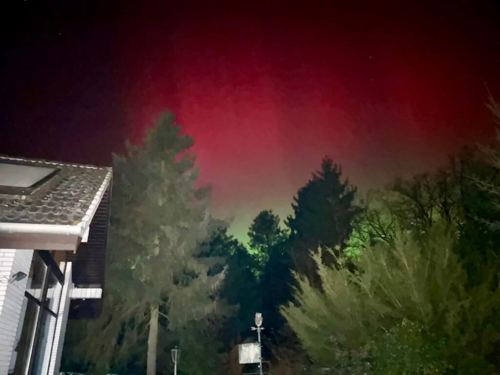 Waldhäusle mit eingezäuntem Waldgrundstück Lüneburger Heide – Foto 43