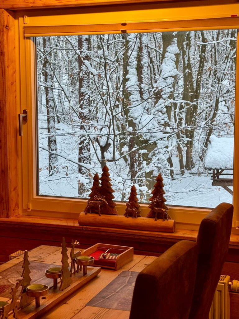 Tannhäusle mit eingezäuntem Waldgrundstück Lüneburger Heide – Foto 15