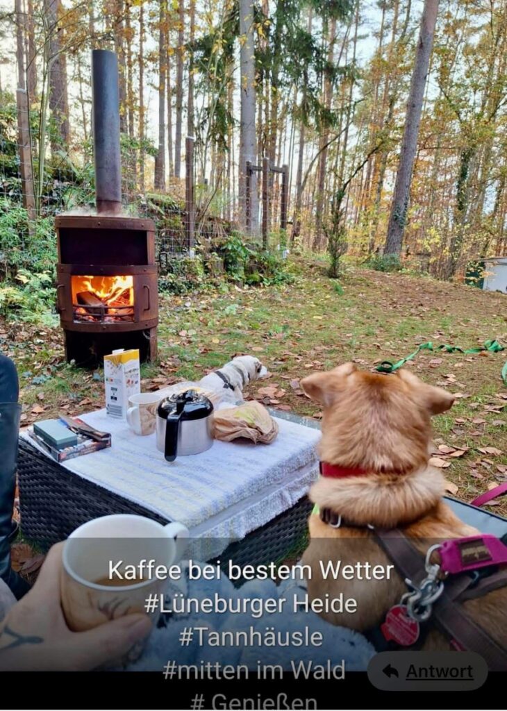 Tannhäusle mit eingezäuntem Waldgrundstück Lüneburger Heide – Foto 16