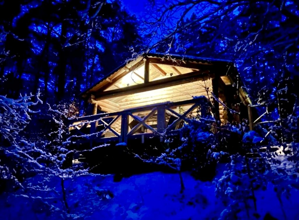 Blockhäusle Lüneburger Heide mit eingezäuntem Waldgrundstück – Foto 2