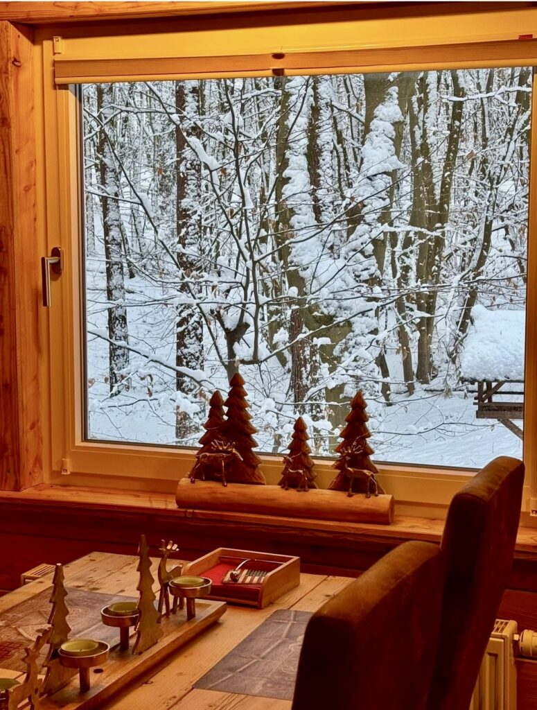 Tannhäusle mit eingezäuntem Waldgrundstück Lüneburger Heide – Foto 46