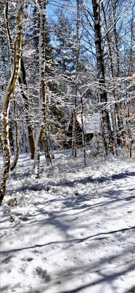 Waldhäusle mit eingezäuntem Waldgrundstück Lüneburger Heide – Foto 30