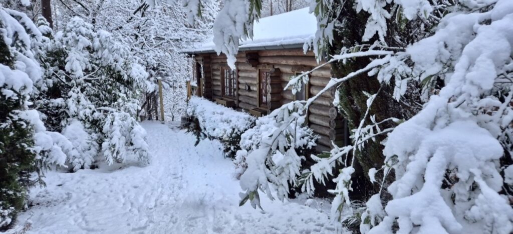 Blockhäusle Lüneburger Heide mit eingezäuntem Waldgrundstück – Foto 3