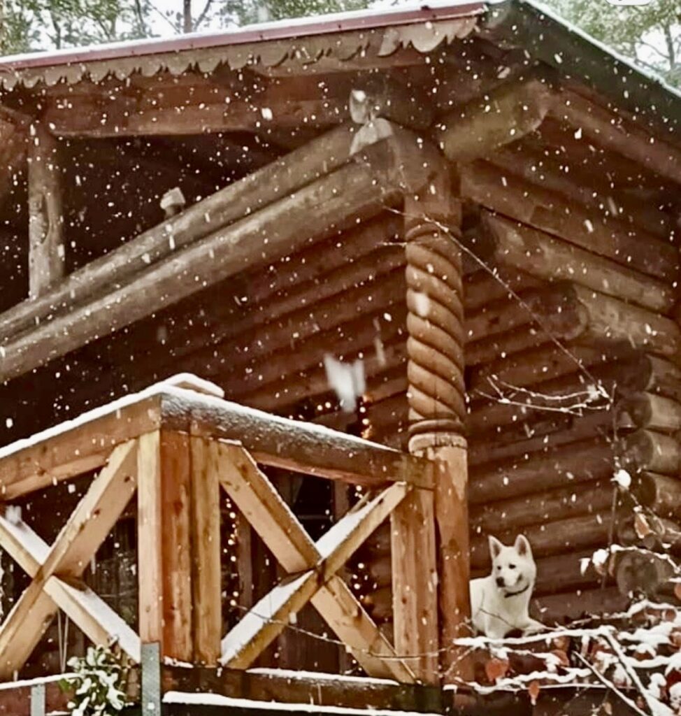 Blockhäusle Lüneburger Heide mit eingezäuntem Waldgrundstück – Foto 4