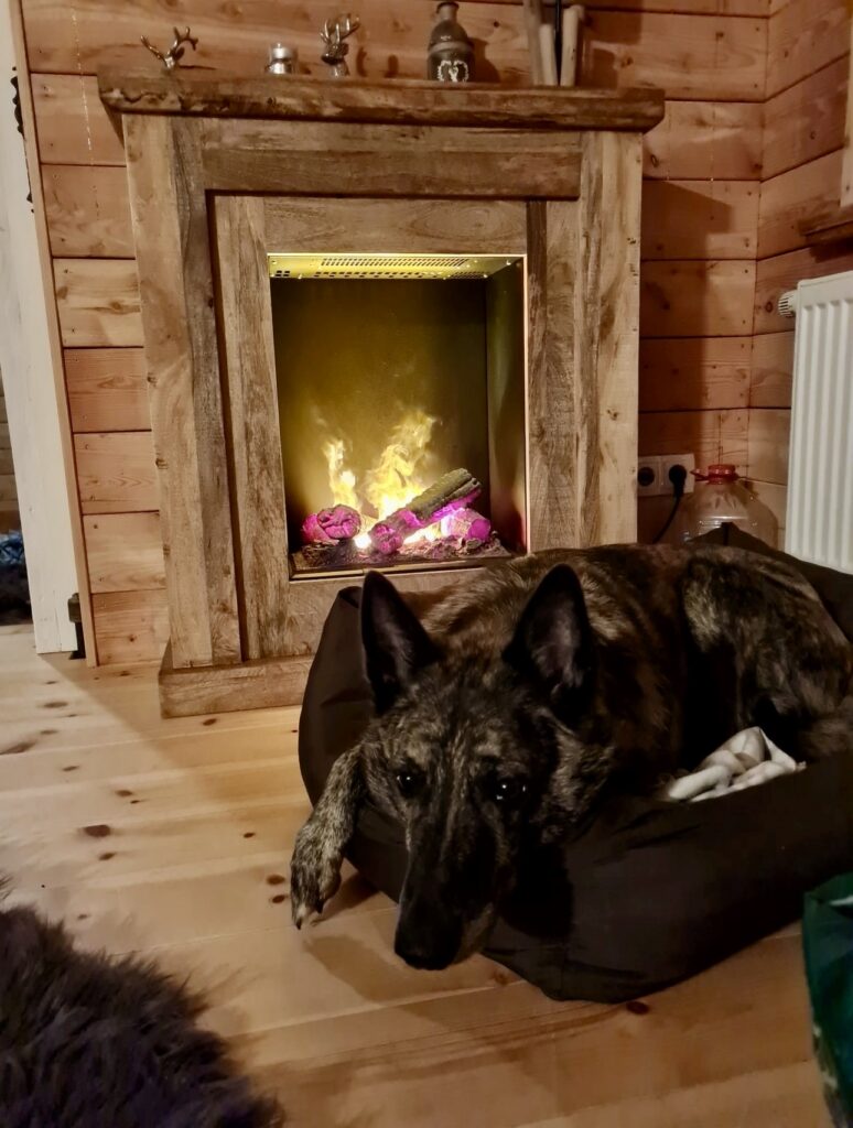 Tannhäusle mit eingezäuntem Waldgrundstück Lüneburger Heide – Foto 44