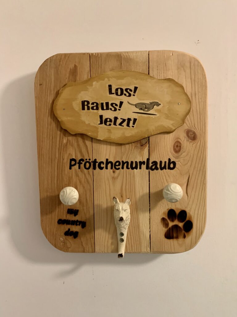 Waldhäusle mit eingezäuntem Waldgrundstück Lüneburger Heide – Foto 13