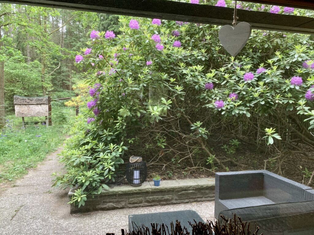 Waldhäusle mit eingezäuntem Waldgrundstück Lüneburger Heide – Foto 17