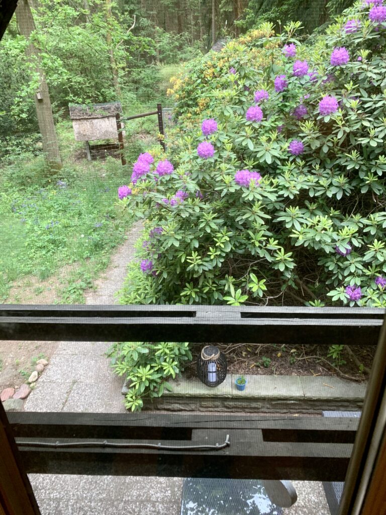 Waldhäusle mit eingezäuntem Waldgrundstück Lüneburger Heide – Foto 22