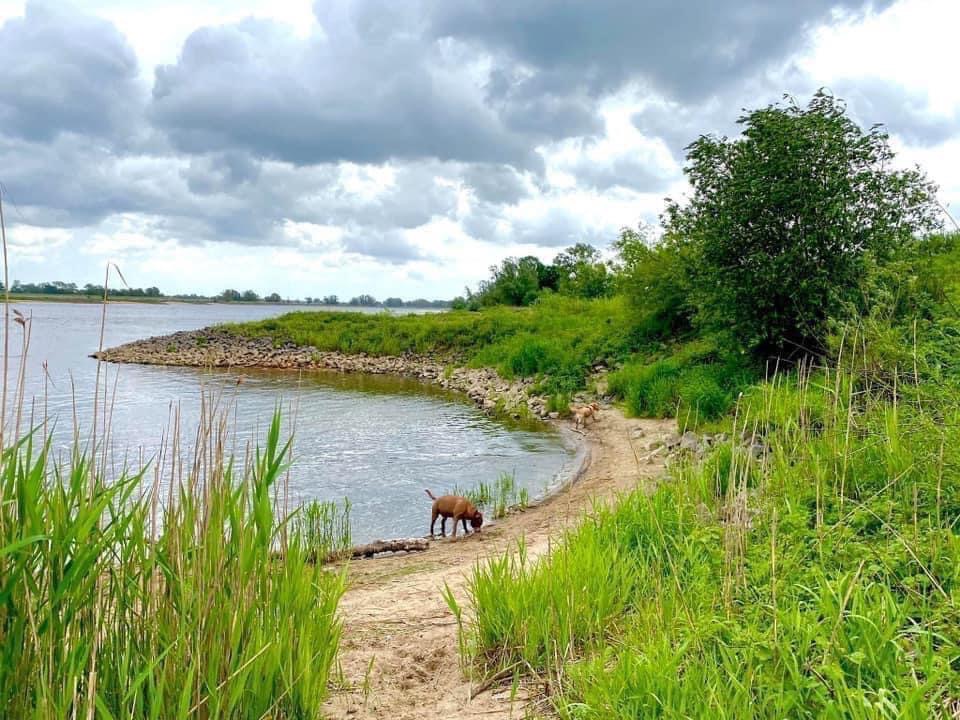 Blockhäusle Lüneburger Heide mit eingezäuntem Waldgrundstück – Foto 23