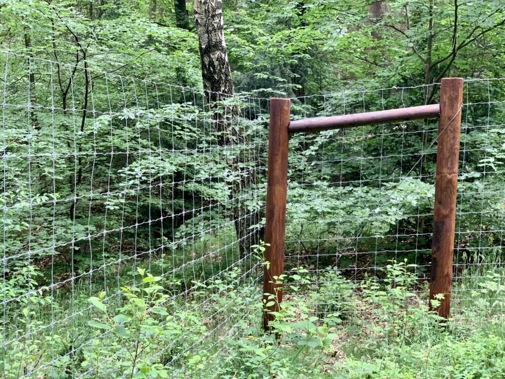 Waldhäusle mit eingezäuntem Waldgrundstück Lüneburger Heide – Foto 23