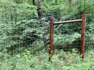 Zaun/Einfriedung
