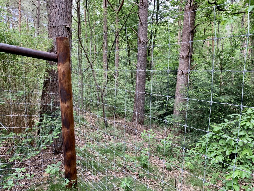 Waldhäusle mit eingezäuntem Waldgrundstück Lüneburger Heide – Foto 26