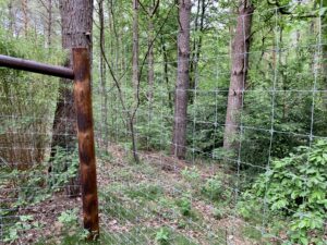 Zaun/Einfriedung