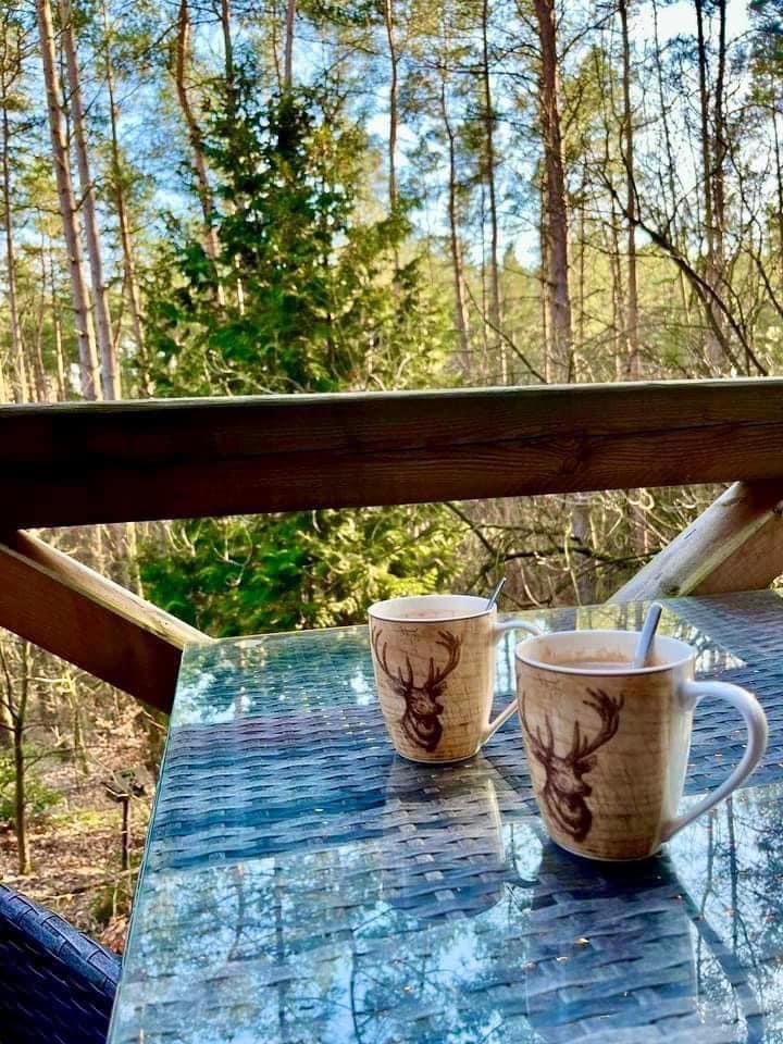 Blockhäusle Lüneburger Heide mit eingezäuntem Waldgrundstück – Foto 32