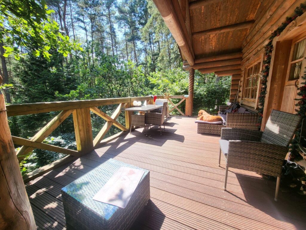 Blockhäusle Lüneburger Heide mit eingezäuntem Waldgrundstück – Foto 37